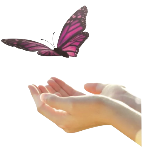 Nouveau logo faivre sarl